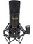 Fenix FCM-600 Condenser Mikrofon 1