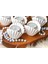 Midye Deniz Kabuğu istiridye Tealight Mumluk Silikon Kalıp K-333 4