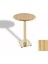 Tokyo Bistro Werzalit Masa Yuvarlak 60 cm (Gold) - Coco Bolo 1