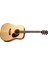 EARTH100NAT Akustik Gitar 1