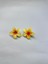 Çiftli, Renkli Yandan Mandallı 4 cm Lotus Çiçeği Toka Kadın/kız/çocuk 1