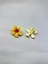 Çiftli, Renkli Yandan Mandallı 4 cm Lotus Çiçeği Toka Kadın/kız/çocuk 2