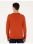 Erkek Turuncu Slim Fit Bisiklet Yaka Basic Triko Kazak 50296575-VR051 5