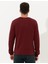 Erkek Bordo Slim Fit Bisiklet Yaka Basic Triko Kazak 50257290-VR014 3