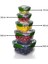 5'li Set Master Kare Saklama Kabı (275 ml - 500 ml - 900 ml - 1500 ml - 2400 Ml) 2