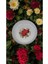 Emaye Muhallebi Yemek Kahvaltı Tabak Desenli 20CM , Çukur Tabak, Salata Tabak, Cips Tabak 6lı Set 1