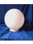 20'lik Karpuz Lamba, Birinci Kalite Pvc Glop, Bahçe Aplikleri Yedek Parçası, 20 cm Çapında Pvc Küre 4