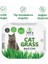 Vet’s Plus %100 Doğal Fileli Kedi Çimi (Tüy Yumağı Önleyici) 1