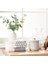 Yapay Çiçek Okaliptus Tek Dal 25CM Yeşil Aradal Garnitür Eucalyptus 3