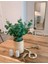 Yapay Çiçek Okaliptus Tek Dal 25CM Yeşil Aradal Garnitür Eucalyptus 5