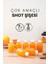 7 Adet 50 ml Shot Ginger Şişe Cam Mini Plastik Kapaklı Kavanoz Kışlık Karışım Iksir Şişesi 1