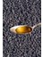 Çörekotu Yağı 250ML - Çörek Otu Yağı 250 ml -%100 Saf ve Doğal Soğuk Sıkım 3