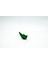 Metapod Pokemon 3D Model 1