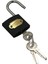 Asma Kilit Gri Kısa 32 mm YMK-1232 1