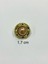 Vintage Serisi Düğme Seti / 1,7 cm 6 Lı Set (Gold - Açık Bej ) 2
