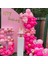 40 adet Fuşya - Pembe Şeffaf balon zinciri,bandı Konfetili Kaliteli Balon Seti 2