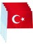 Sopalı Türk Bayrağı 30x45 cm (20 Adet) 1.Kalite Alpaka Kumaş 3