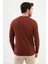 Desenli Kiremit Rengi Slim Fit Bisiklet Yaka Uzun Kollu Erkek T-Shirt 3