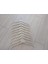 PLASTİK BEYAZ GÖMLEK,TİŞÖRT BLUZ ASKISI 10 ADET CTP 43 2