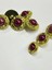 Vintage Serisi Düğme Seti / 2,5 cm 6 Lı Set (Gold - Bordo) 3