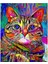 Kanvas renkli Kedi 2 Sayılarla Boyama Seti Kasnaklı 50 x 65 cm 1