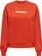 Onlsofıa L/s Word O-Neck Kadın Sweatshırt 1