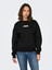 Onlsofıa L/s Word O-Neck Kadın Sweatshırt 1