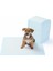 Clez Yıkanabilir Köpek Çiş Pedi - 100 x 100 cm 5li Paket Company 1