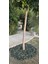 Dekoratif Yeşil Renkli Ahşap Malç 40 Litre 2-5 cm Renkli Ağaç Kabuğu Renkli Ağaç Yongası Bahçe Dekor Peyzaj Color Mulch 3