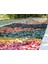Dekoratif Yeşil Renkli Ahşap Malç 40 Litre 2-5 cm Renkli Ağaç Kabuğu Renkli Ağaç Yongası Bahçe Dekor Peyzaj Color Mulch 1