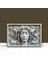 3D Görünümlü Metal Tablo Medusa, Poster, Tablo, Tuval, Ev Dekorasyon, Dekorasyon 1