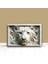 3D Görünümlü Metal Tablo Aslan Galatasaray, Poster, Tablo, Tuval, Ev Dekorasyon, Dekorasyon 1