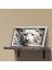 3D Görünümlü Metal Tablo Aslan Galatasaray, Poster, Tablo, Tuval, Ev Dekorasyon, Dekorasyon 4