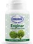 Enginar 1