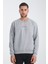 Mount Fuji Erkek Yuvarlak Yakalı Nakışlı Gri Sweatshirt 4