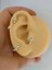 Arescollection Zirkon Taşlı 1 Adet Baykuş Tragus Helix Kıkırdak Kulak Memesi Uyumlu Piercing Küpe 1