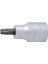 192 TX55 1/2 Torx Lokma Anahtar T55 1