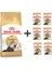 Persian Yetişkin Kedi Maması 4 kg + 6 Adet Yaş Mama 1
