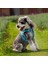 Blossom Step-In Mavi Köpek Göğüs Tasması 3
