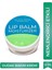 Avokado, Limon ve Nane Yağı Özlü Nemlendirici Etkili Doğal Dudak Kremi Lip Balm 10 ml 2