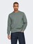 22030384 Onsdan Unbrushed Reg Crew Neck Sweat Vd 1