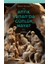 Antik Yunan’da Günlük Hayat - Robert Garland 1