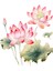 Lotus Stickerı Çıkarılabilir Çiçekler Çıkartması Tuvalet Mutfak B (Yurt Dışından) 1