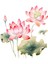 Lotus Stickerı Çıkarılabilir Çiçekler Çıkartması Tuvalet Mutfak B (Yurt Dışından) 2