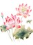 Lotus Stickerı Çıkarılabilir Çiçekler Çıkartması Tuvalet Mutfak B (Yurt Dışından) 3