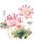 Lotus Stickerı Çıkarılabilir Çiçekler Çıkartması Tuvalet Mutfak B (Yurt Dışından) 4