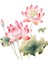 Lotus Stickerı Çıkarılabilir Çiçekler Çıkartması Tuvalet Mutfak B (Yurt Dışından) 5
