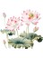 Lotus Sticker Aksesuarı Su Geçirmez Çıkartması Kapı Mutfak Odası D (Yurt Dışından) 1