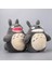 Totoro Hayao Miyazaki Anime Film Peluş Oyuncak Dişleri Görünen 30 cm 2