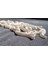 29CM Çiçek ve Sarmaşık Bordür Aplik Silikon Kalıp K-1096 5